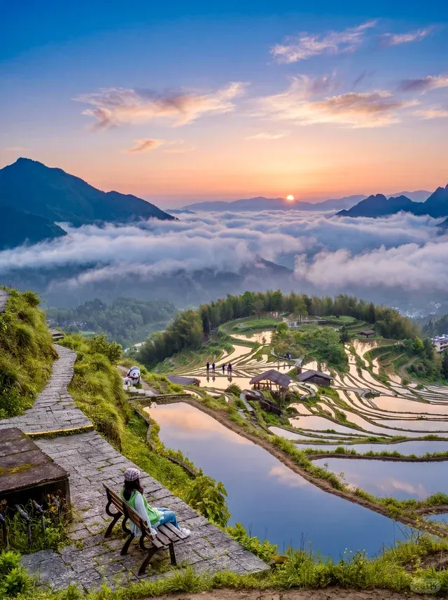 Yunhe Rice Terraces