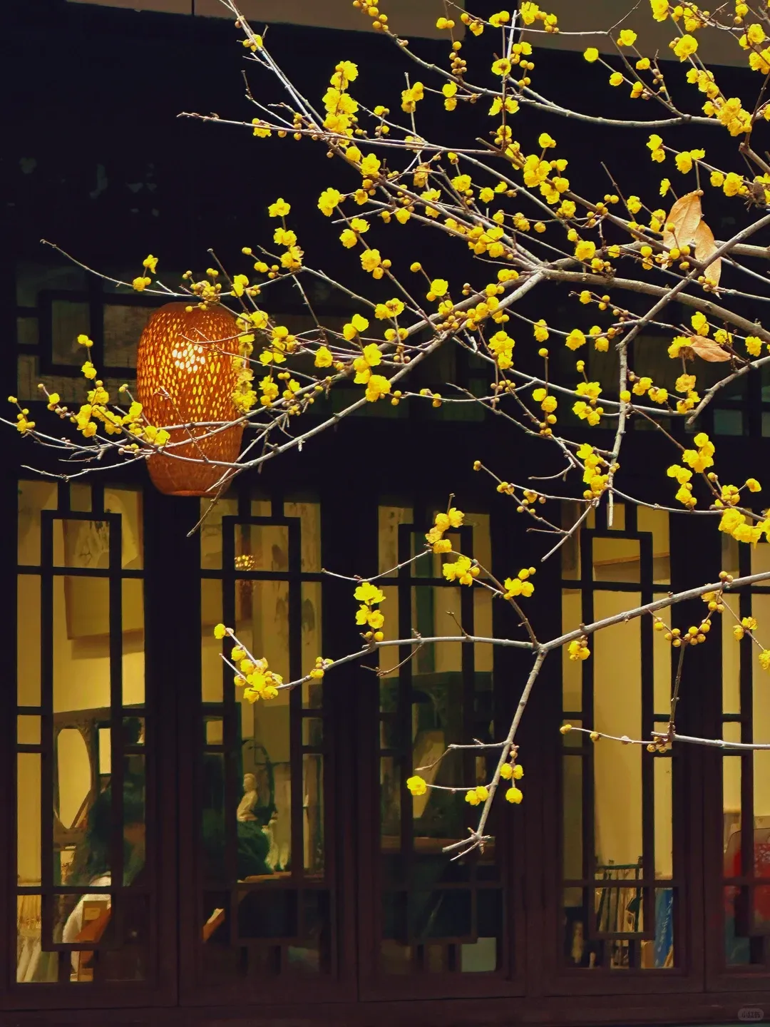 Chengdu's Quiet Alleys Walk