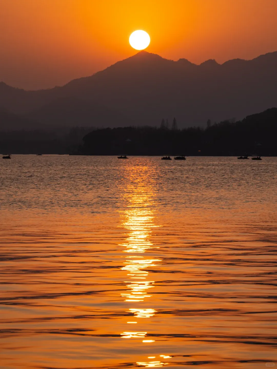 Quyuan Fenghe lotus ponds in early summer