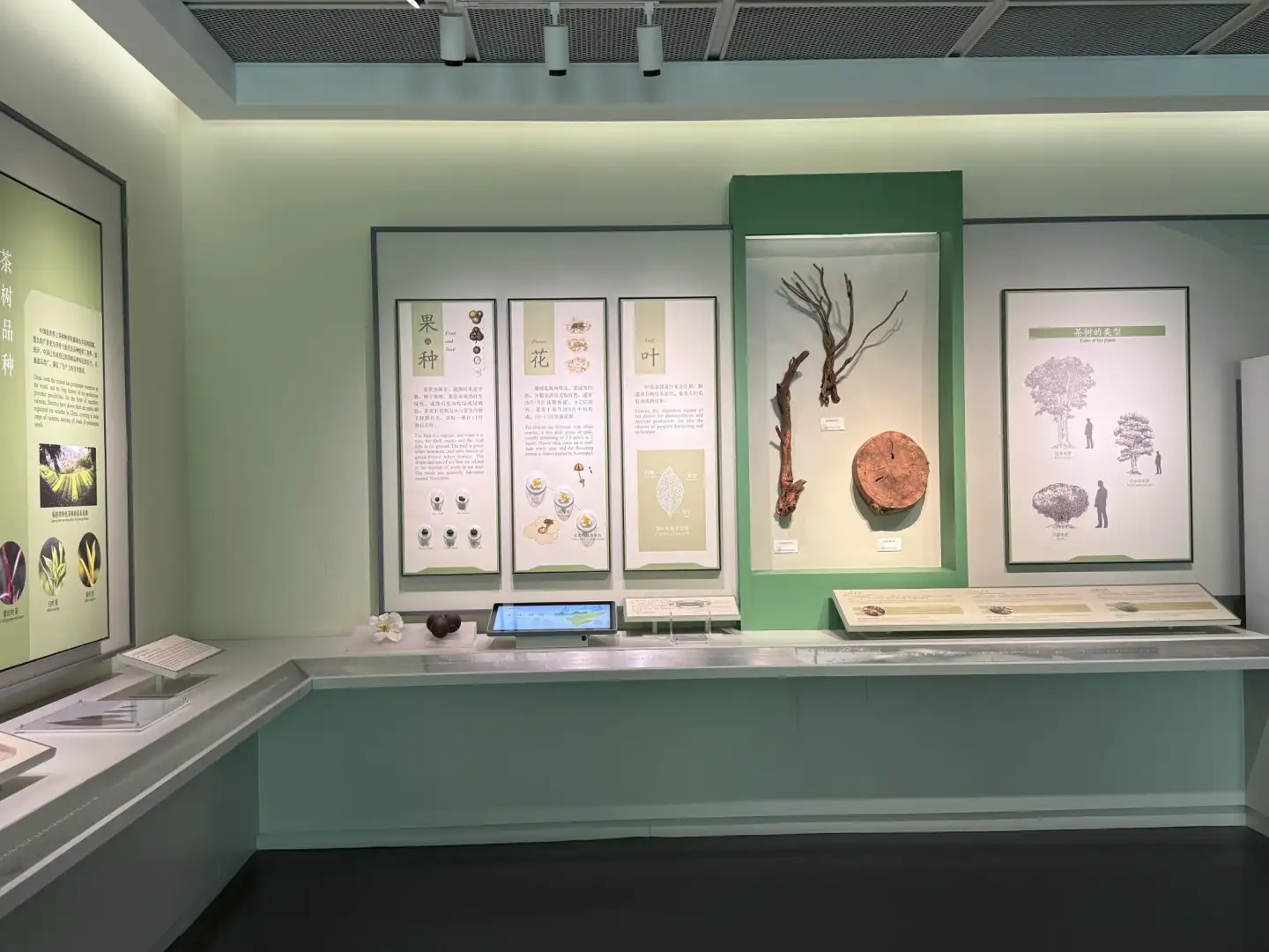 China National Tea Museum
