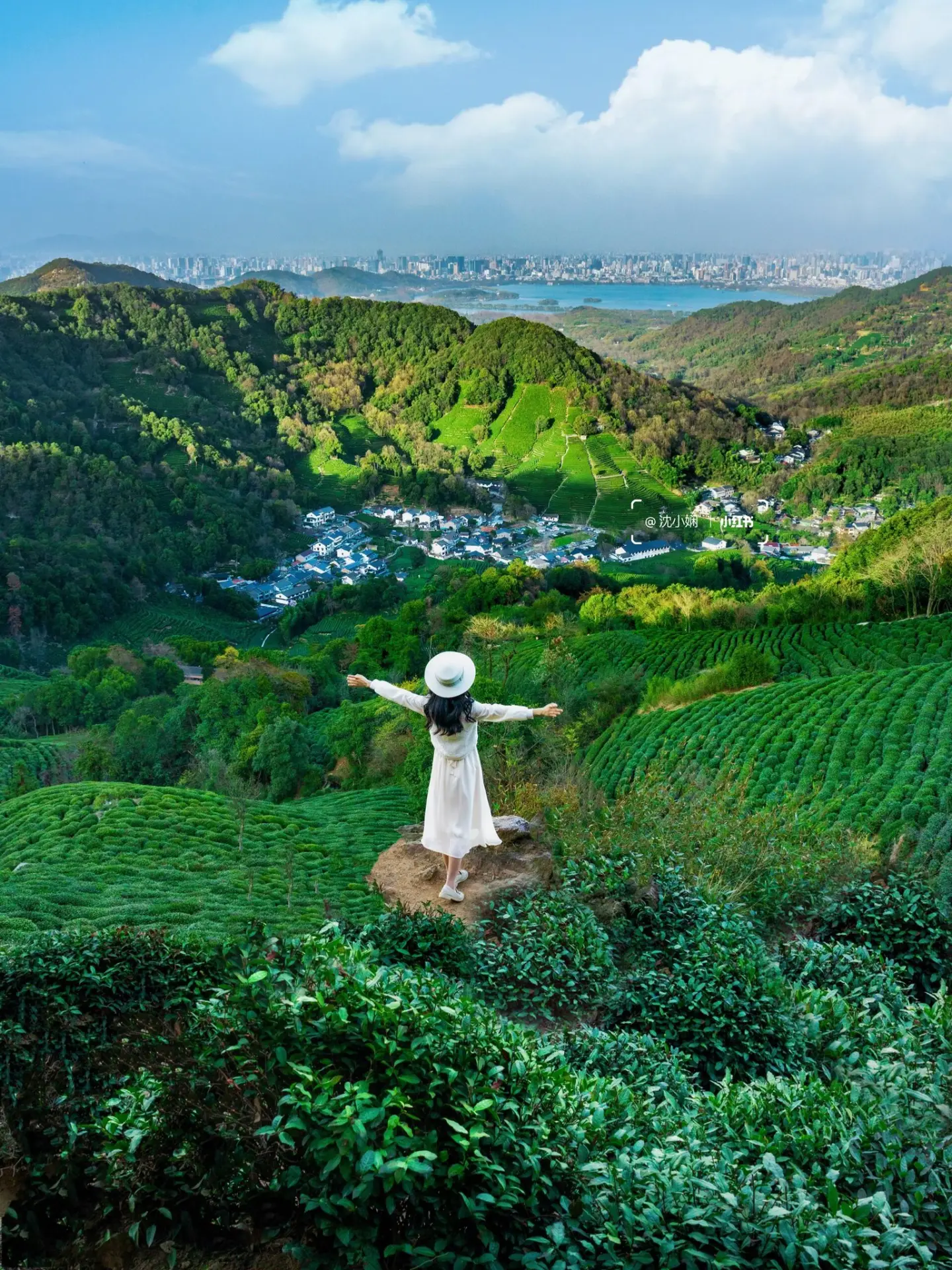 Misty Longjing Tea Trails