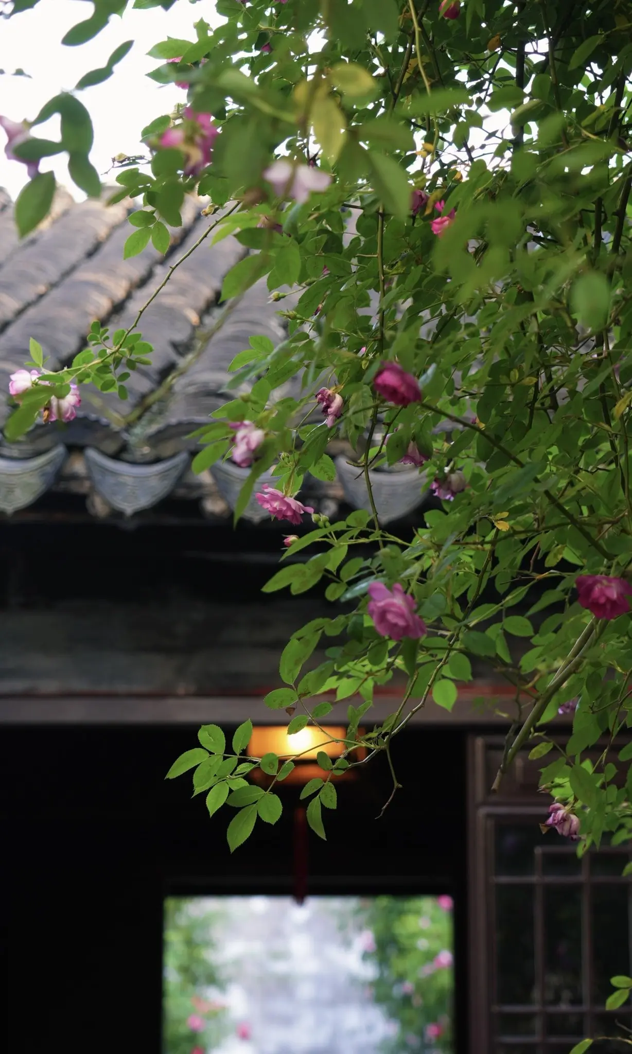 Yipu Garden