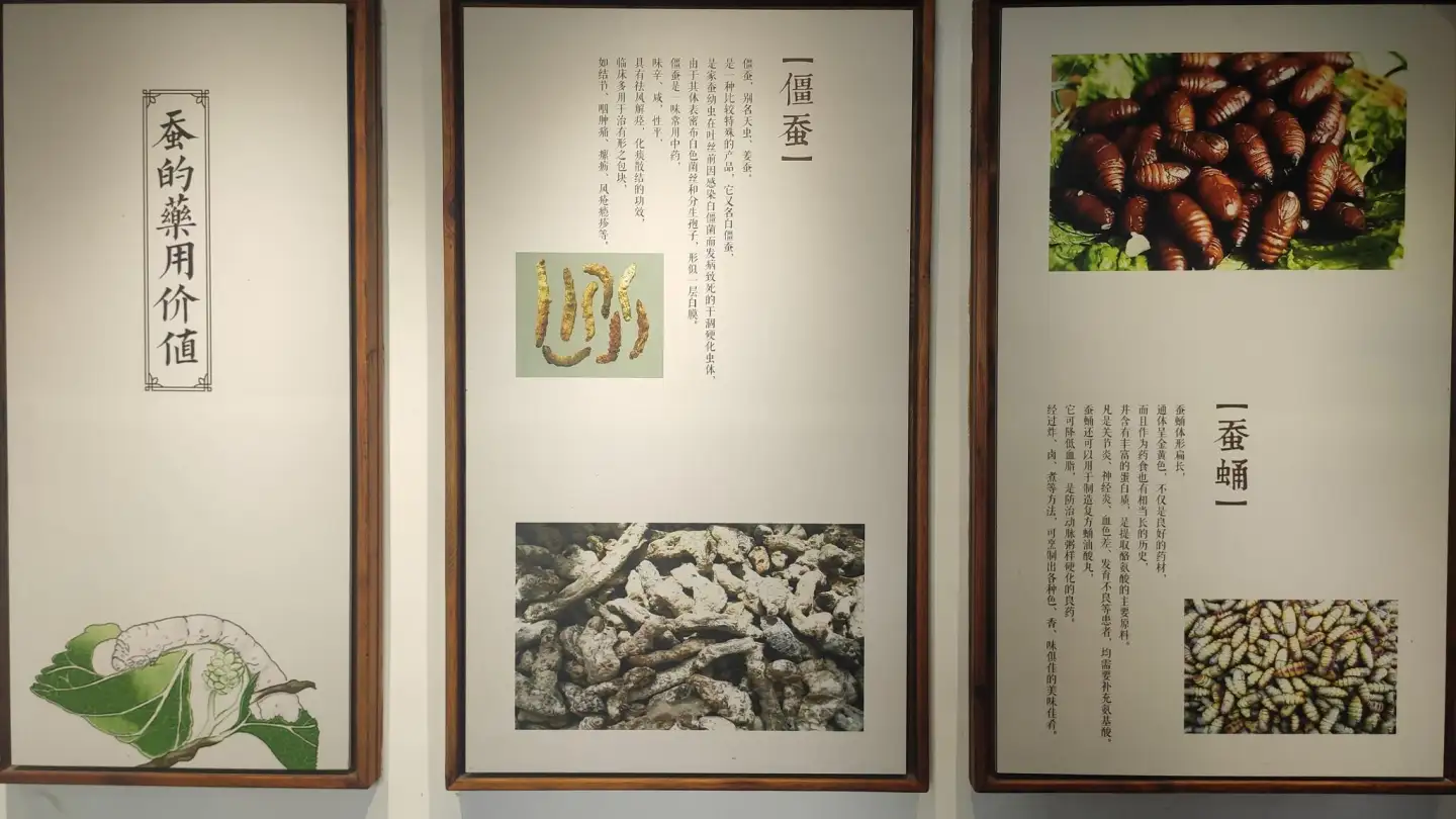 Suzhou Silk Museum