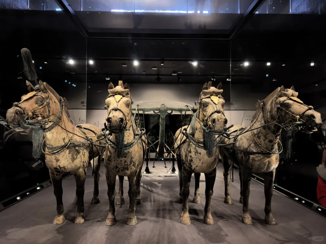 Half-day sprint: Shaanxi History Museum to Terracotta Army in one go